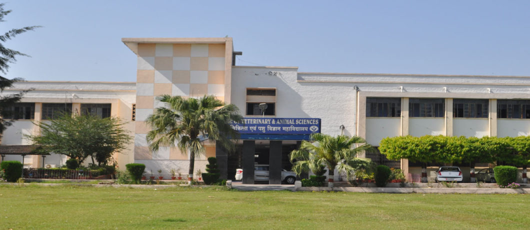 College of Veterinary and Animal Sciences – CVASC College of Veterinary and Animal Sciences – CVASC